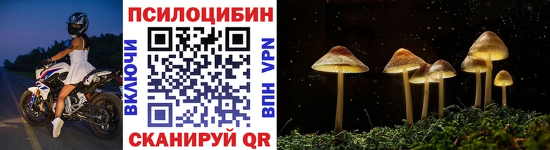 Галлюциногенные грибы Psilocybine cubensis  Усть-Катав 